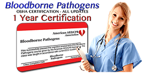 Group Discounts on Online Bloodborne Pathogens training class - 1 year certification. First time or renewal.
